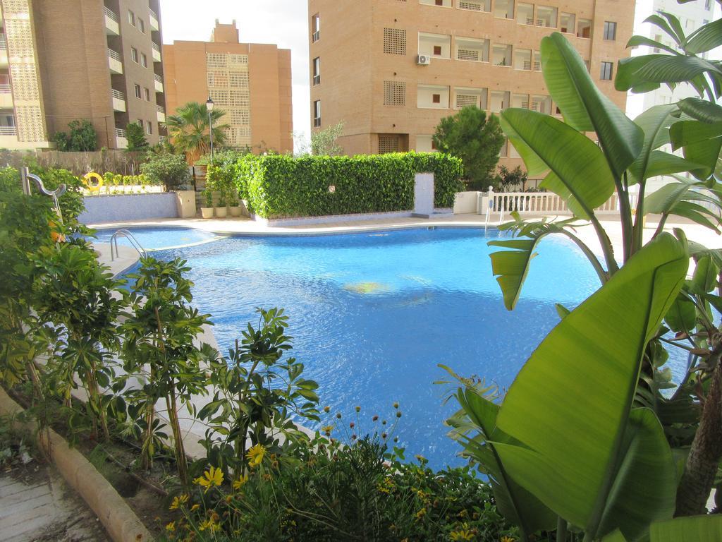 Apartment Diamond Benidorm Pokoj fotografie